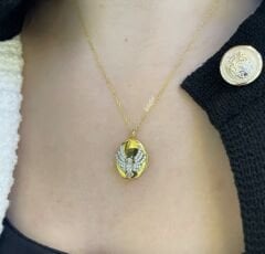 Anka Kuşu Anı Gümüş Kolye